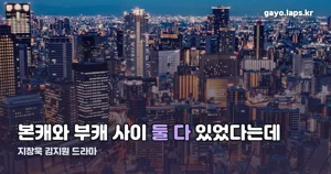 지창욱 김지원 드라마 ‘도시남녀의 사랑법’ — 배역·줄거리·시청처 정리