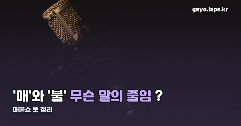 매불쇼 뜻 정리 썸네일