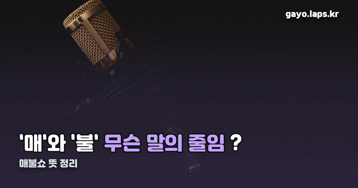 매불쇼 뜻 정리 썸네일