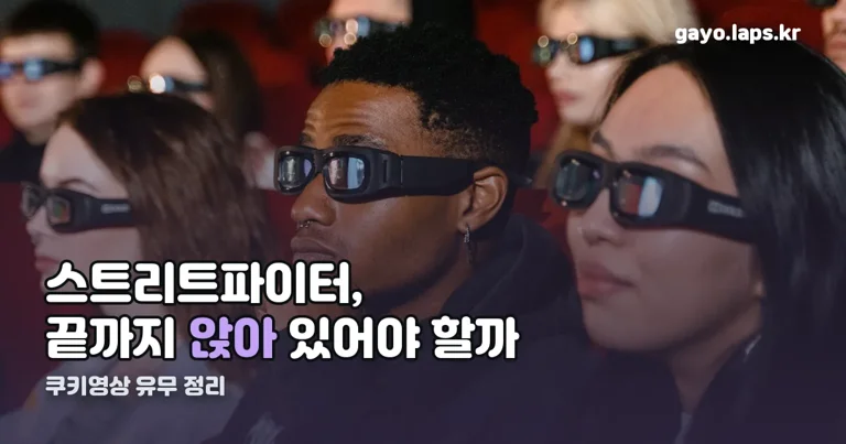 스트리트파이터 쿠키 정리 썸네일