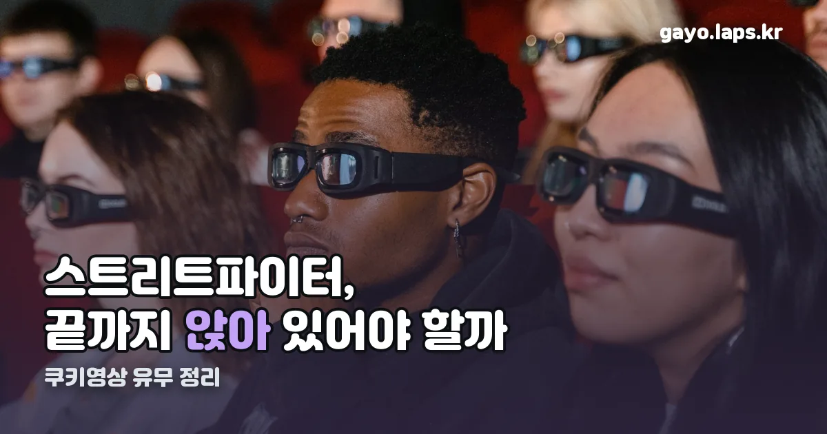 스트리트파이터 쿠키 정리 썸네일