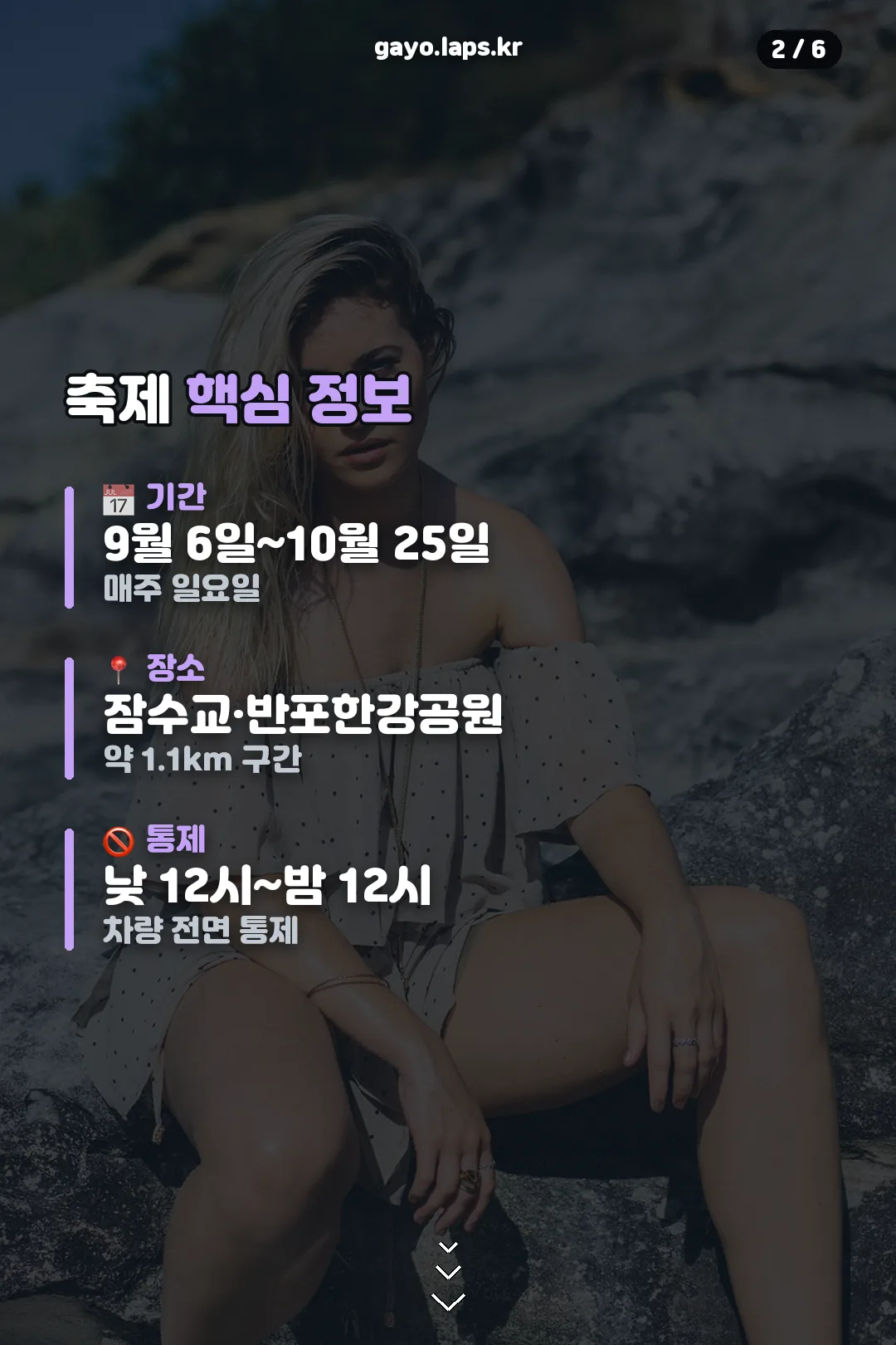 축제 핵심 정보