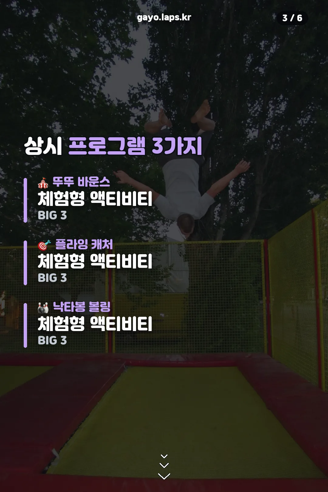 상시 프로그램 3가지