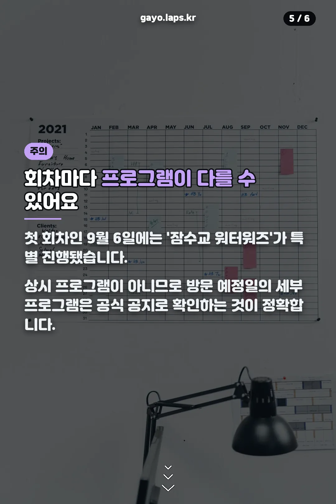 회차별 프로그램 차이 주의