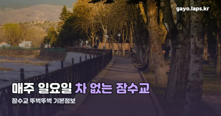 잠수교 뚜벅뚜벅 기본정보 정리 썸네일