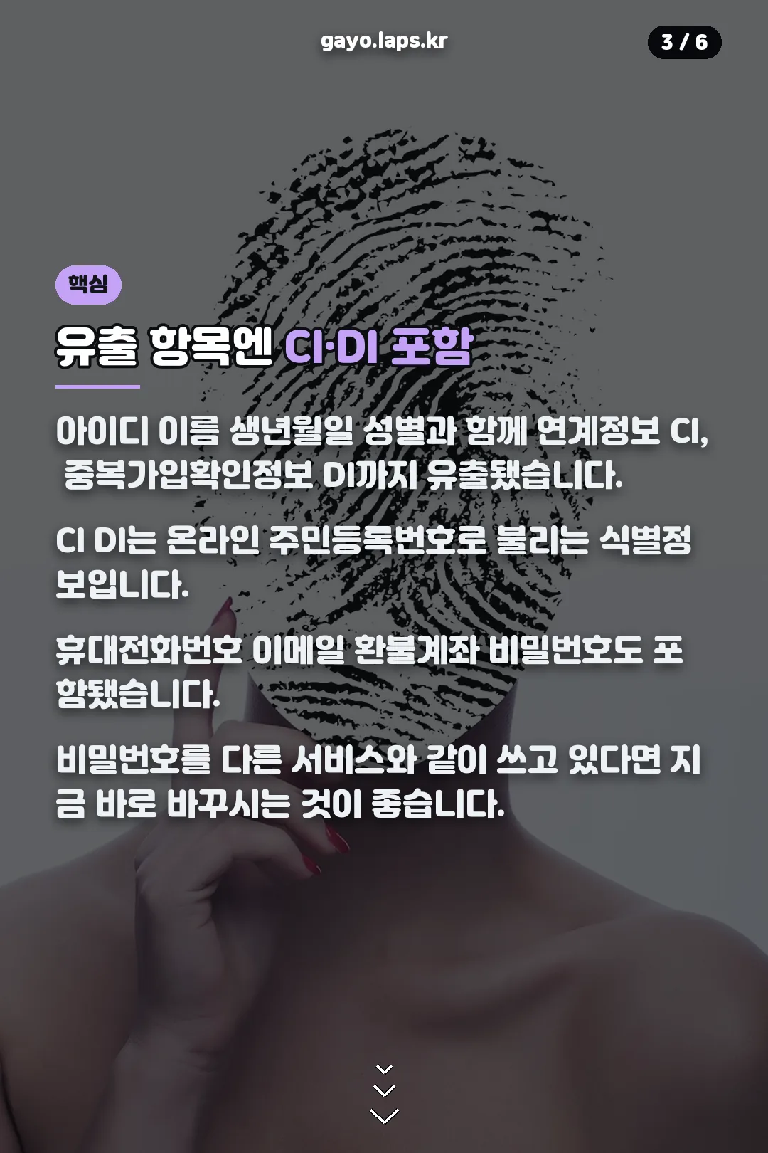 유출 항목 CI DI 포함